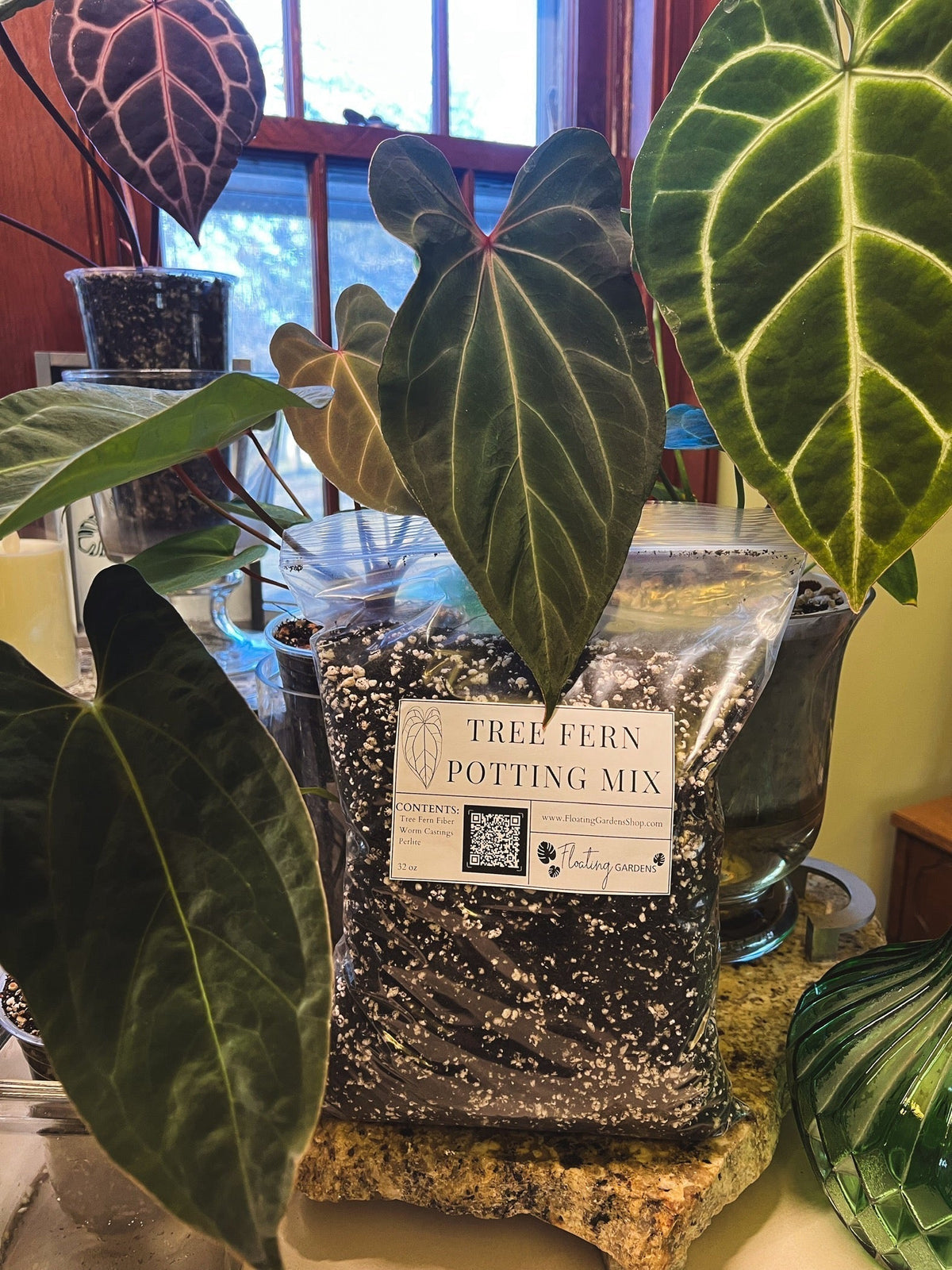 Tree Fern Potting Mix