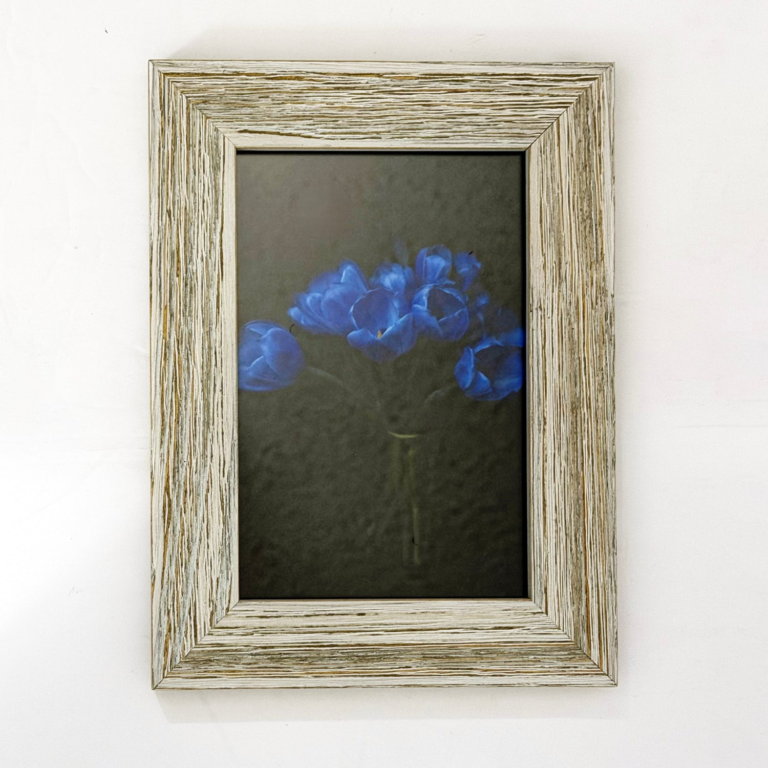 Framed Print Electric Blue Tulips Bouquet 4x6