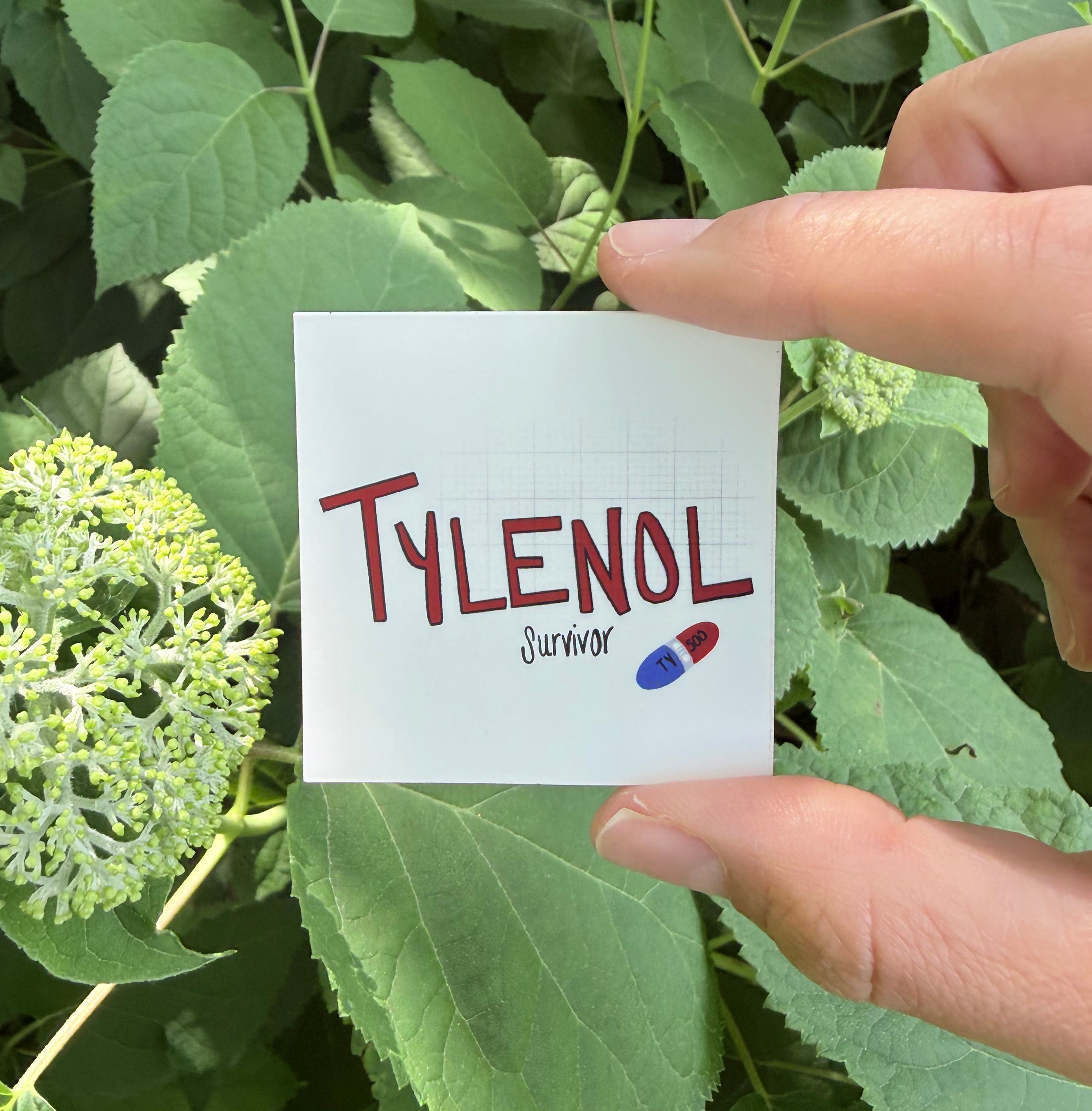 Tylenol Survivor Sticker
