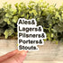 types of beer sticker