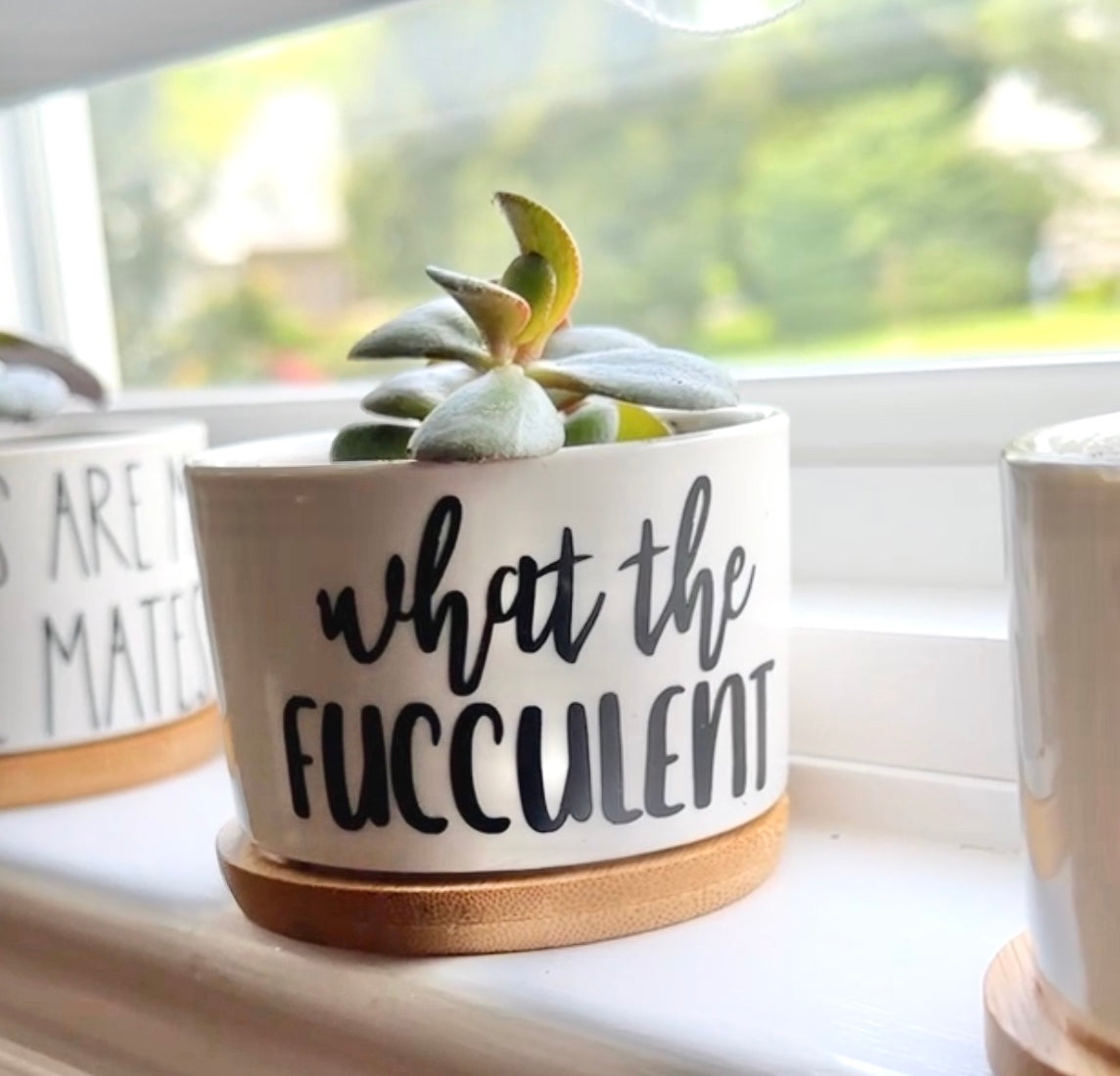 Funny, Cute and Sarcastic Mini Planters, Indoor Succulent Planters