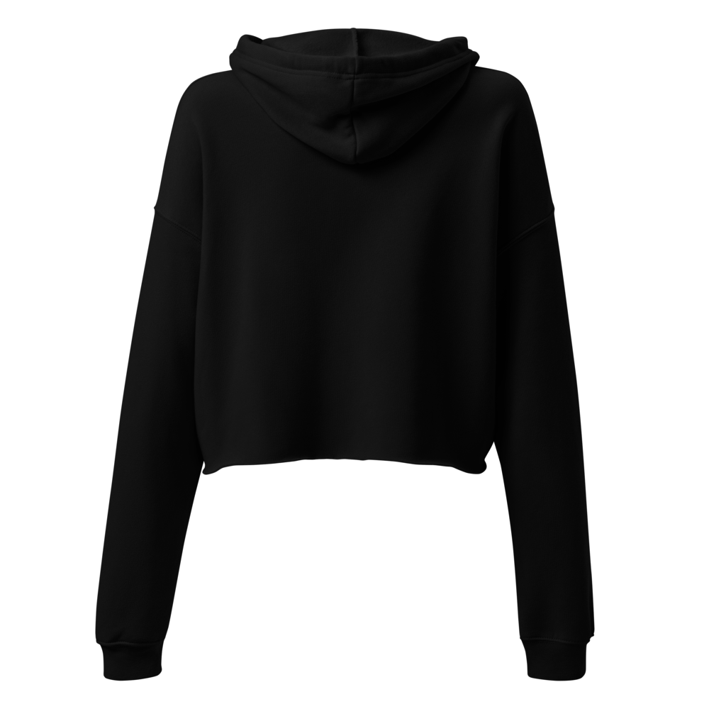 Disassociating Embroidered Crop Hoodie