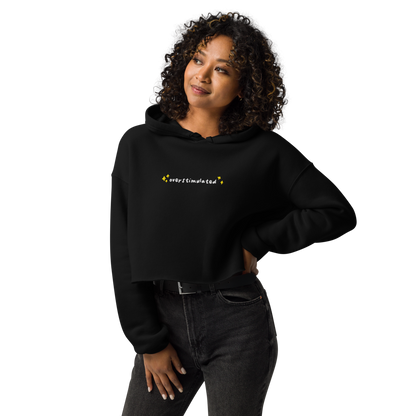 Overstimulated Embroidered Crop Hoodie