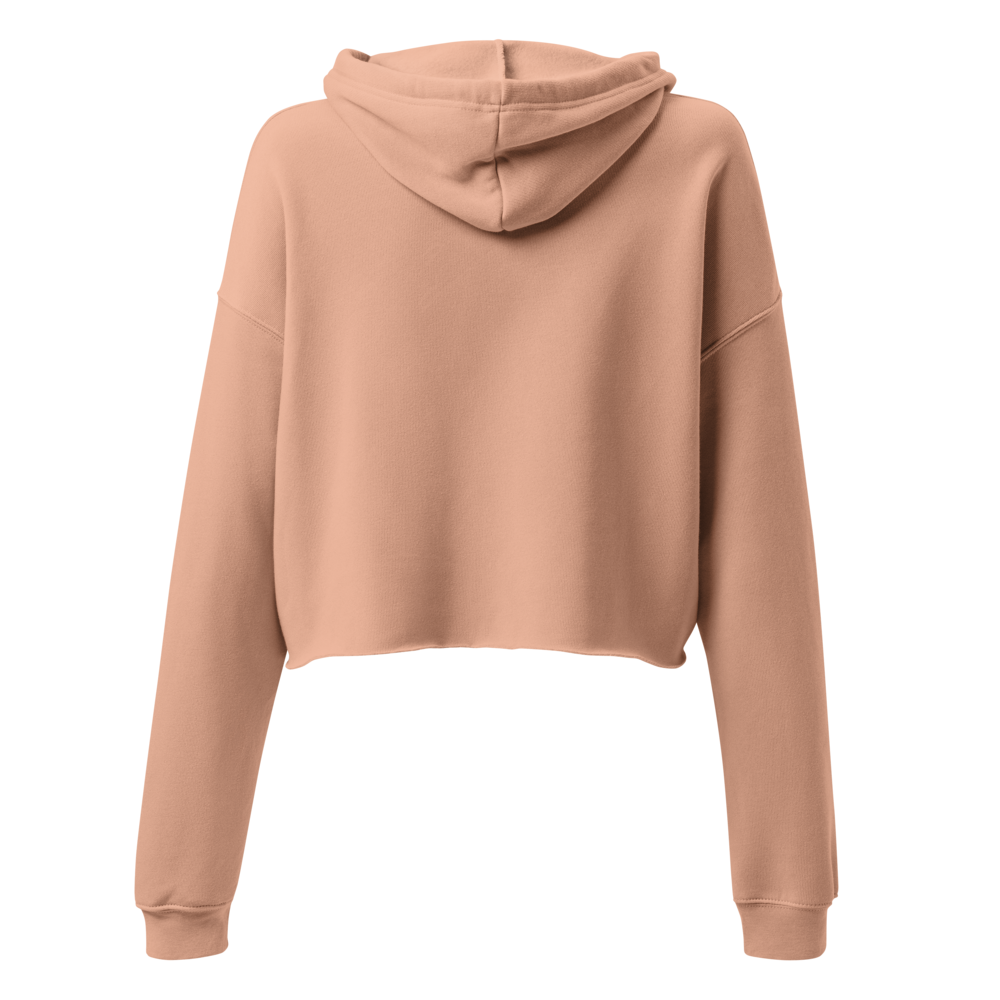 Disassociating Embroidered Crop Hoodie