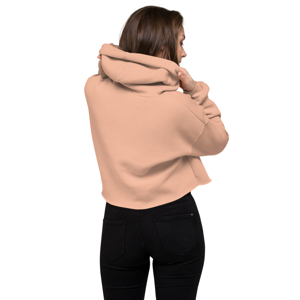 Disassociating Embroidered Crop Hoodie