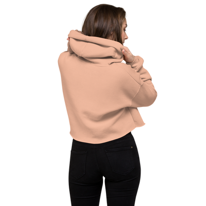 Disassociating Embroidered Crop Hoodie