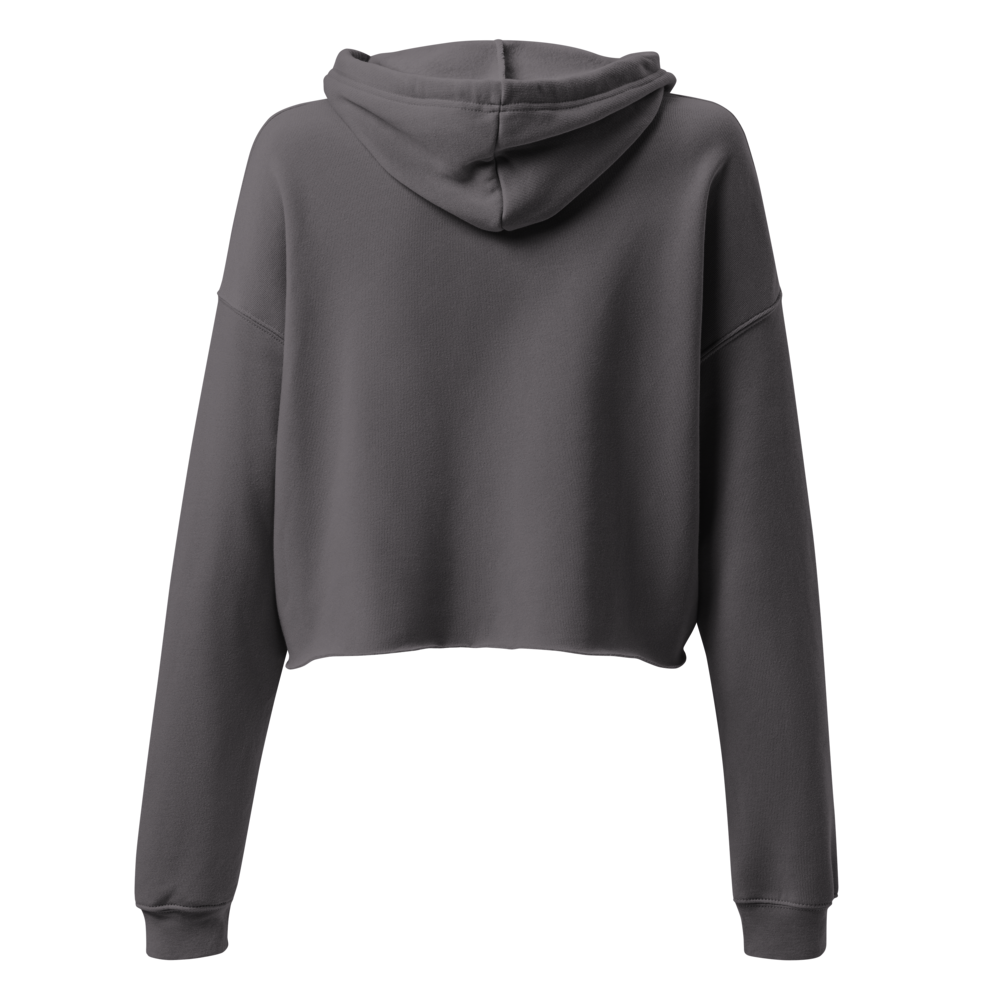 Disassociating Embroidered Crop Hoodie