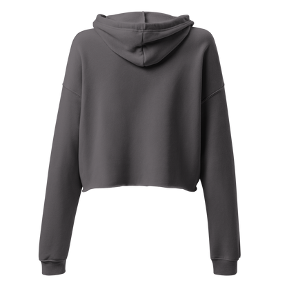 Disassociating Embroidered Crop Hoodie