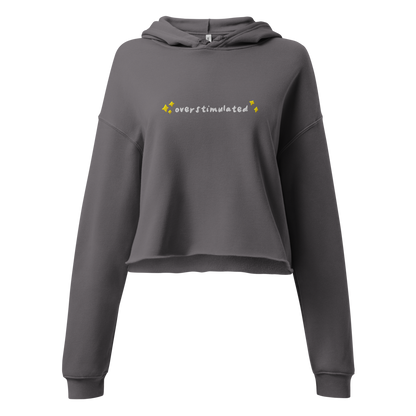 Overstimulated Embroidered Crop Hoodie